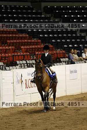 Proof Number 10buck_4851