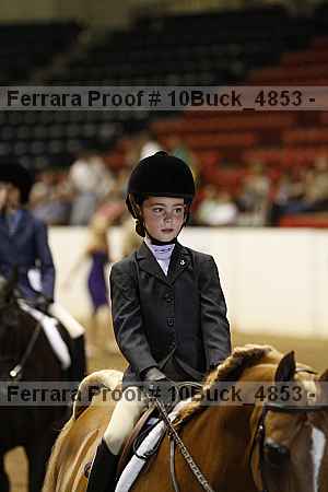 Proof Number 10buck_4853