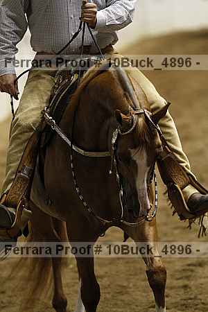 Proof Number 10buck_4896