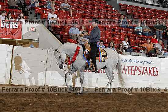 Proof Number 10buck_4916