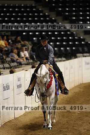 Proof Number 10buck_4919