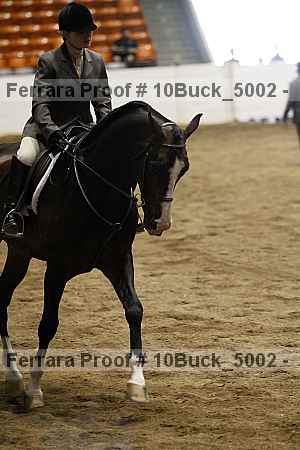 Proof Number 10buck_5002