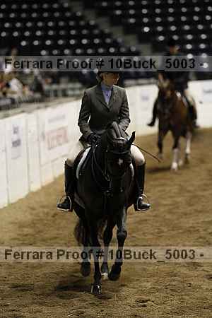 Proof Number 10buck_5003