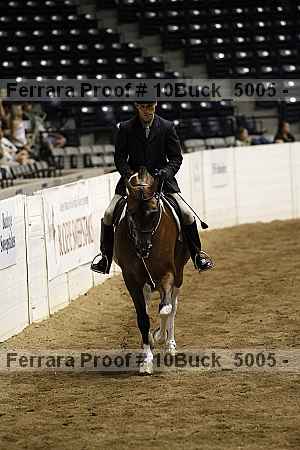 Proof Number 10buck_5005