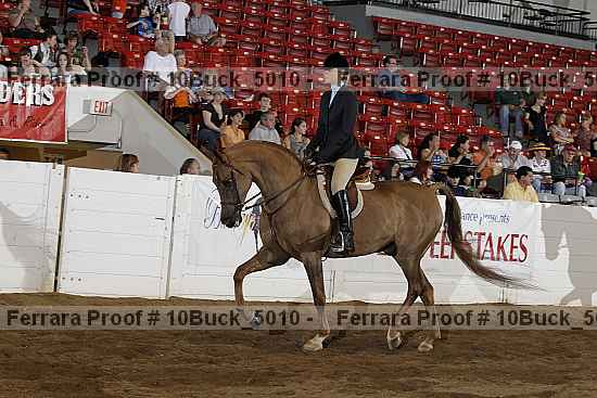 Proof Number 10buck_5010