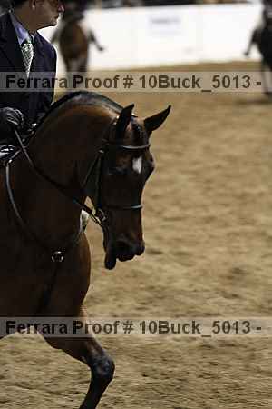 Proof Number 10buck_5013