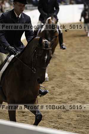 Proof Number 10buck_5015