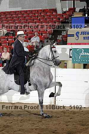 Proof Number 10buck_5102