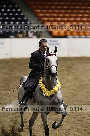 Proof Number 10buck_5114
