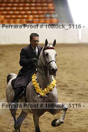 Proof Number 10buck_5116