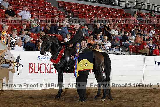 Proof Number 10buck_5179