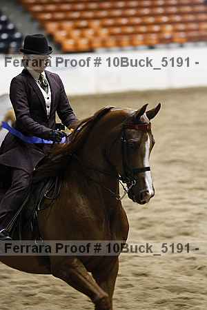 Proof Number 10buck_5191