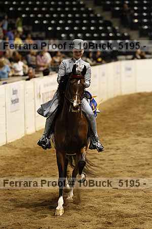 Proof Number 10buck_5195