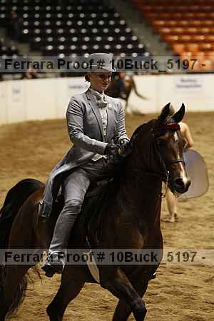 Proof Number 10buck_5197