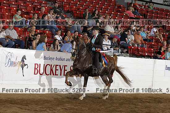 Proof Number 10buck_5200