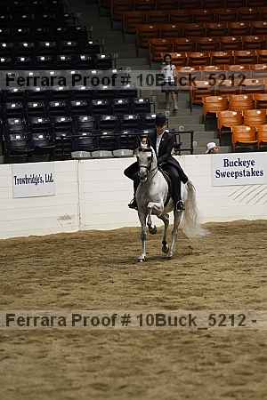 Proof Number 10buck_5212