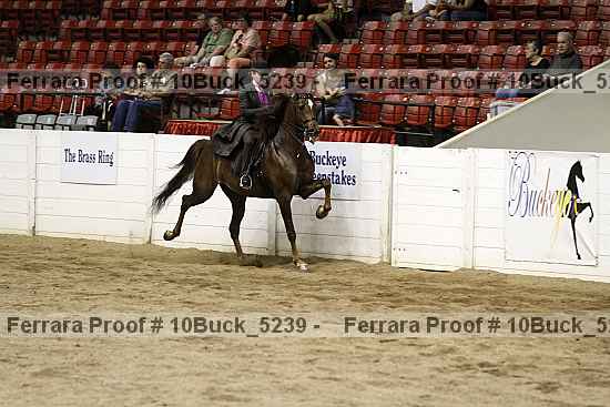 Proof Number 10buck_5239