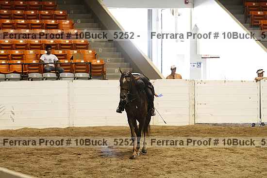 Proof Number 10buck_5252