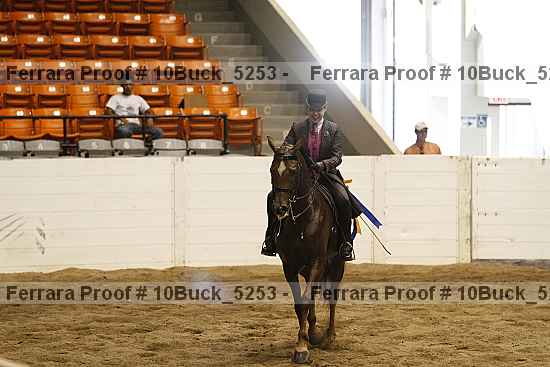 Proof Number 10buck_5253