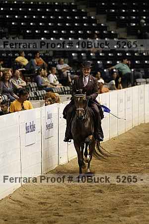 Proof Number 10buck_5265