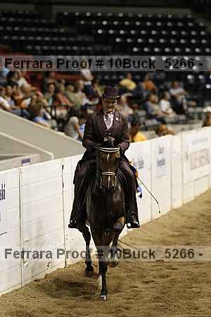 Proof Number 10buck_5266