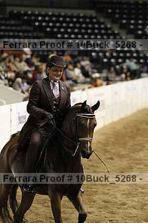 Proof Number 10buck_5268