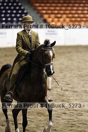 Proof Number 10buck_5273