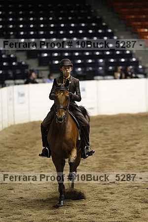 Proof Number 10buck_5287
