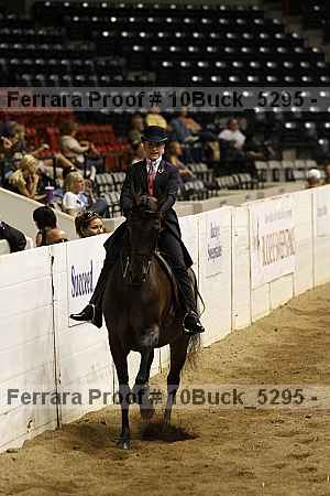 Proof Number 10buck_5295
