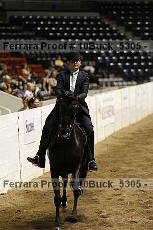 Proof Number 10buck_5305