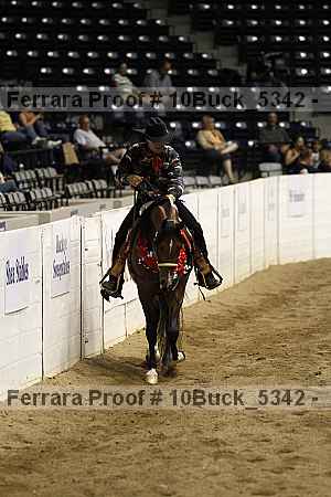 Proof Number 10buck_5342