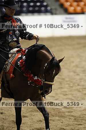 Proof Number 10buck_5349
