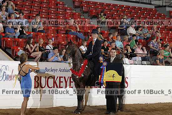 Proof Number 10buck_5377