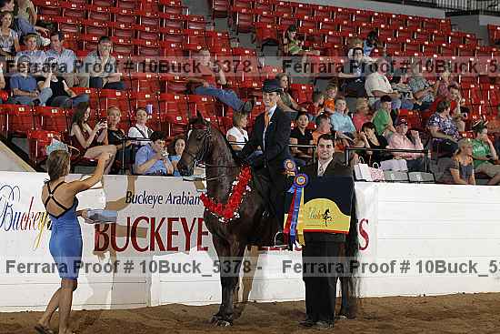 Proof Number 10buck_5378