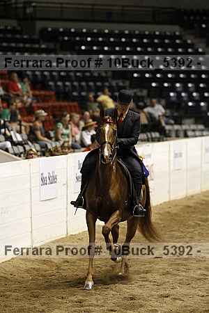 Proof Number 10buck_5392