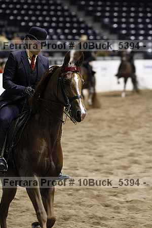 Proof Number 10buck_5394