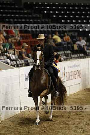 Proof Number 10buck_5395
