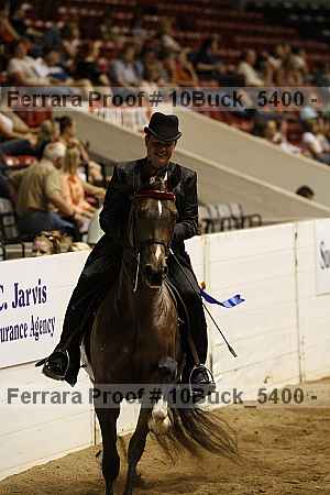 Proof Number 10buck_5400