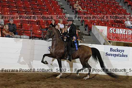 Proof Number 10buck_5402