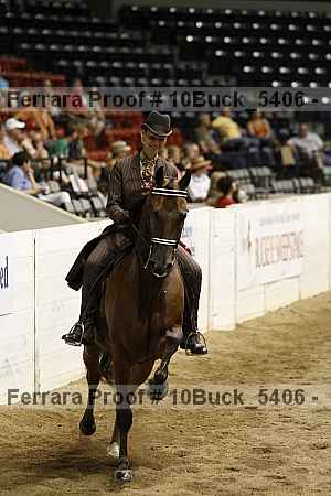 Proof Number 10buck_5406