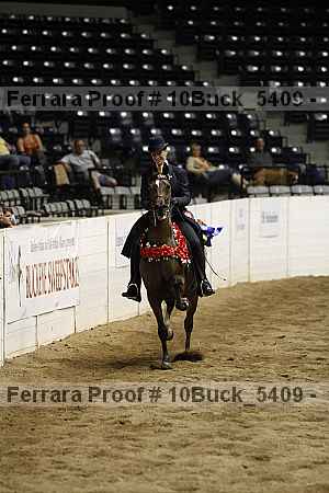 Proof Number 10buck_5409