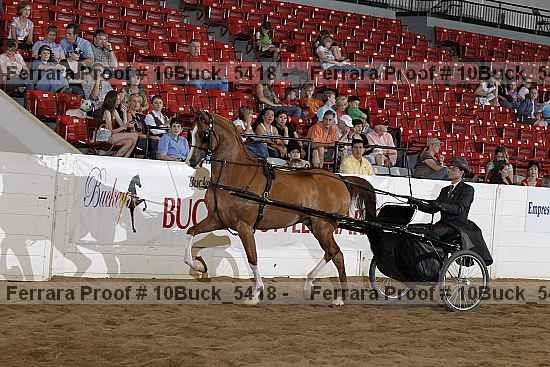 Proof Number 10buck_5418
