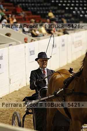 Proof Number 10buck_5421