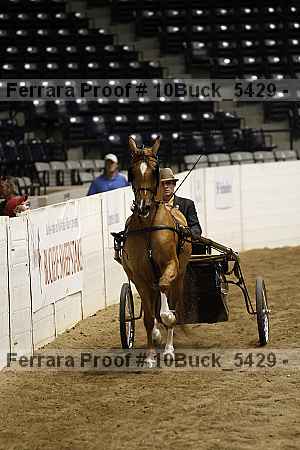 Proof Number 10buck_5429
