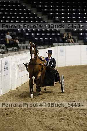 Proof Number 10buck_5443