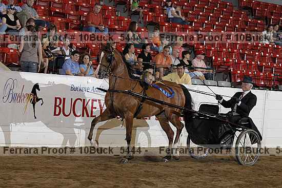 Proof Number 10buck_5444