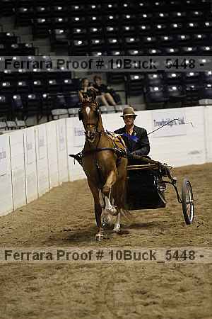 Proof Number 10buck_5448