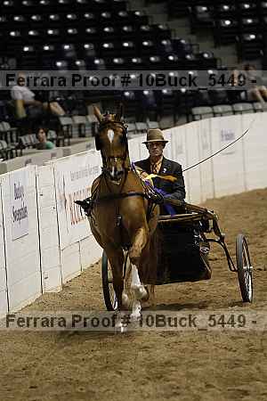 Proof Number 10buck_5449