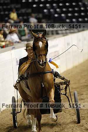 Proof Number 10buck_5451