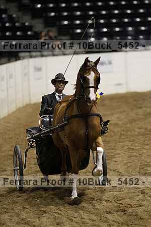 Proof Number 10buck_5452